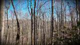 20 Bright Mountain Road - Photo 5