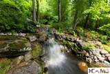 213 River Overlook Road - Photo 7