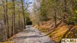 B&C Knob Hill Road - Photo 6