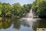 462 Birchwood Drive - Photo 81