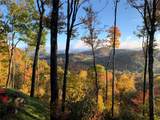 345 Center Ridge Road - Photo 58
