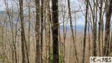 Lot 29 Flyaway Circle - Photo 4