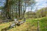 205 Blue Stone Trail - Photo 46