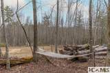 Tr A Fenley Forest Trail - Photo 10