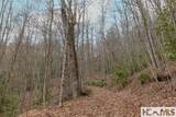 Tr A Fenley Forest Trail - Photo 11