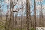 Tr A Fenley Forest Trail - Photo 12