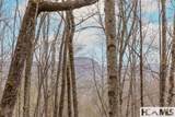 Tr A Fenley Forest Trail - Photo 14