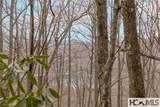 Tr A Fenley Forest Trail - Photo 15