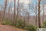 Tr A Fenley Forest Trail - Photo 16