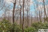 Tr A Fenley Forest Trail - Photo 17