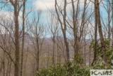 Tr A Fenley Forest Trail - Photo 18