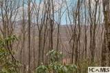 Tr A Fenley Forest Trail - Photo 19