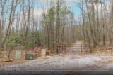 Tr A Fenley Forest Trail - Photo 2