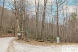 Tr A Fenley Forest Trail - Photo 20
