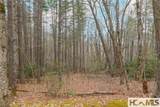 Tr A Fenley Forest Trail - Photo 21