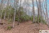 Tr A Fenley Forest Trail - Photo 22