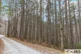 Tr A Fenley Forest Trail - Photo 23