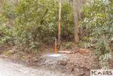 Tr A Fenley Forest Trail - Photo 24