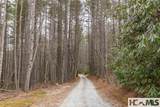Tr A Fenley Forest Trail - Photo 4