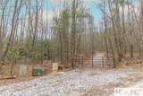 Tr A Fenley Forest Trail - Photo 5