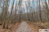 Tr A Fenley Forest Trail - Photo 7