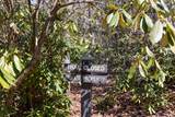 54 Ramble Ridge Road - Photo 5