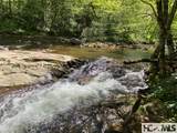 59 Waterdance Drive - Photo 8
