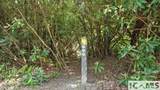 30/31 Sherwood Forest Road - Photo 18