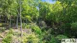 30/31 Sherwood Forest Road - Photo 4