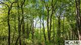 30/31 Sherwood Forest Road - Photo 7