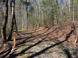 Lot 1 Bear Log Road - Photo 1