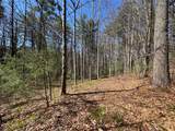 Lot 1 Bear Log Road - Photo 3
