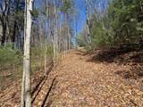 Lot 1 Bear Log Road - Photo 4