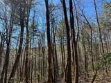 Lot 1 Bear Log Road - Photo 7