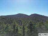 Lot 1 Bear Log Road - Photo 8
