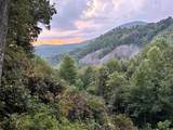187 Evans Creek Road - Photo 79