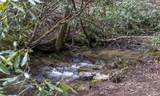 TBD Diamonds Creek Road - Photo 6