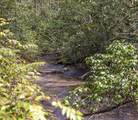 TBD Diamonds Creek Road - Photo 7
