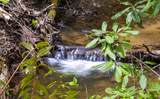 TBD Diamonds Creek Road - Photo 8