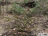 473 Echo Ridge Road - Photo 8