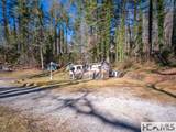 103 Briarberry Lane - Photo 3