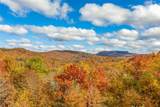 224 Knob Hill - Photo 24