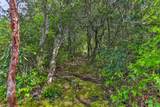 224 Knob Hill - Photo 63