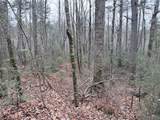 11 Mountain Laurel Court - Photo 4