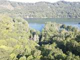 9 Old Forester Trail - Photo 16