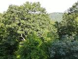 9 Old Forester Trail - Photo 17