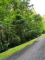 9 Old Forester Trail - Photo 7
