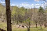 551 Bob Long Mountain Road - Photo 40