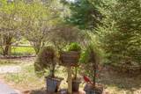 551 Bob Long Mountain Road - Photo 9