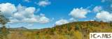 90 Fodderstack Road - Photo 17